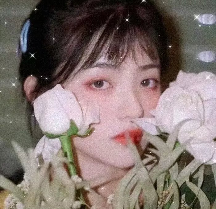 传销风云